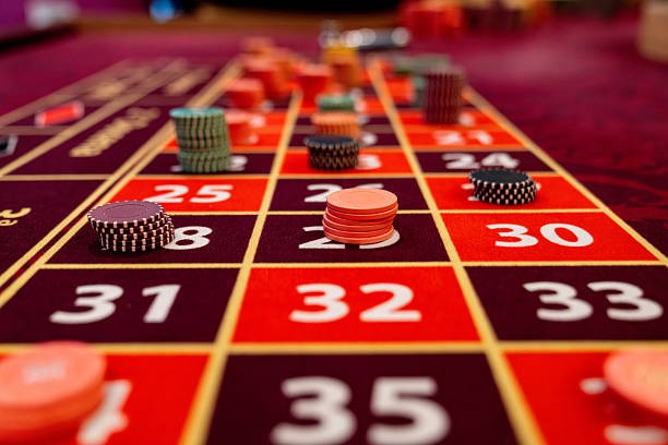 tukangwd What Makes Bingo Stand Out